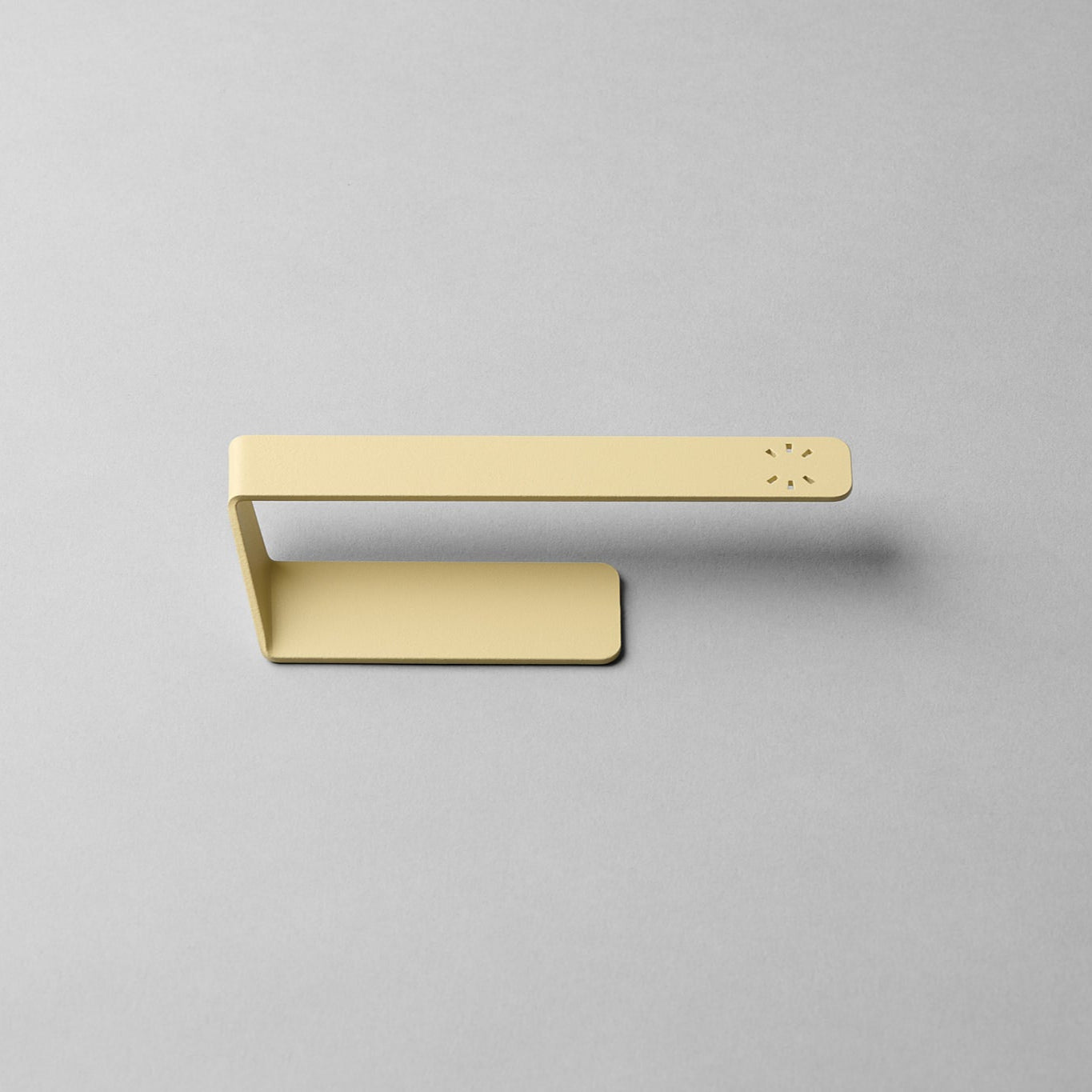 Bundle Lemon Peel